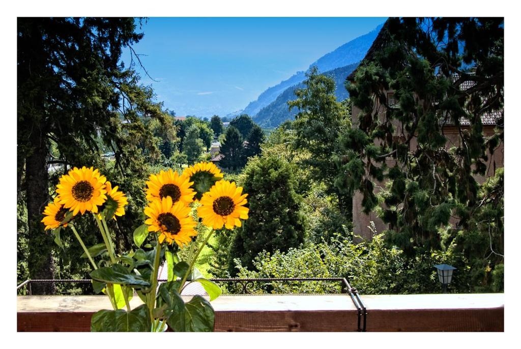 Apparthotel Taufenbrunn Parcines Bagian luar foto